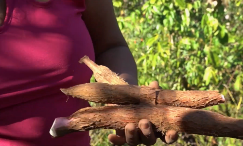 Mopái Pjuta Ãkakje'y 2